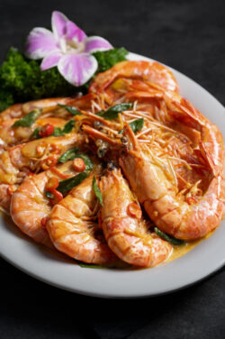 atas menu 088