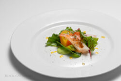 msbfood 043